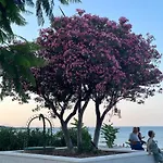 Casa Del Sogno - Con Terrazza A Semesterbostad