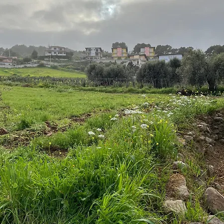 Casa Del Sogno - Con Terrazza A * מונטג'ורדאנו