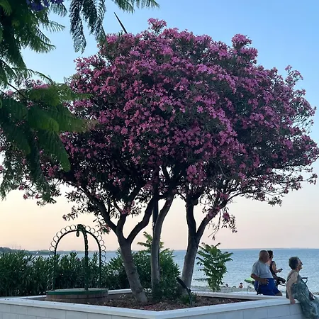 Casa Del Sogno - Con Terrazza A בית נופש